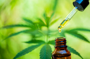 herbalneurocare-1920x1260-olio-di-canapa-a-gocce-di-cbd-bio-medicina-ecologia-pianta-di-canapa-erba-medicinale-olio-di-cbd-da-estrazione-medica.jpg