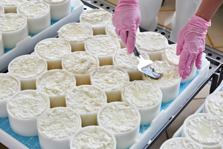 allineamento-del-materiale-del-formaggio-negli-stampi