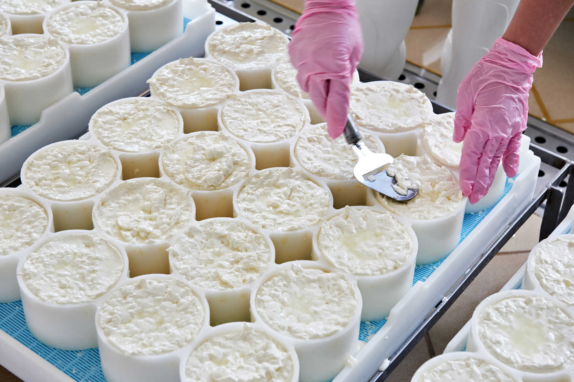 allineamento-del-materiale-del-formaggio-negli-stampi